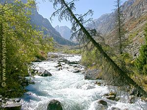 Река в ущелье Ала-Арча